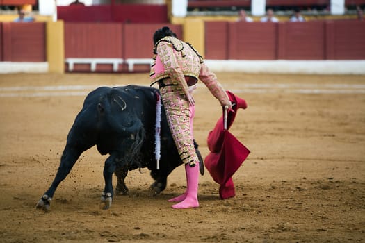 The Spanish bullfighter Morante de la Puebla barefoot after being caught by the bull. Bullfight at Andujar bullring, Jaen province, Andalusia, Spain, 11 September 2009