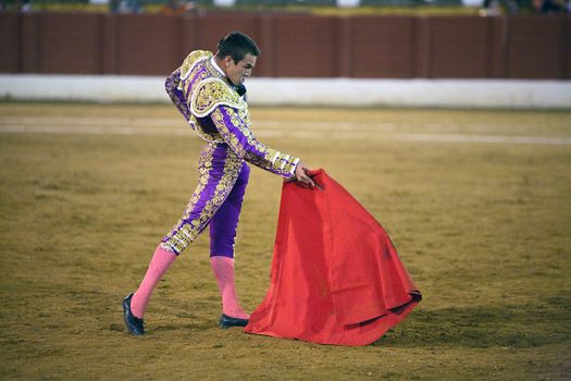 The Spanish bullfighter Jose maria Manzanares, Bullfight at Andujar bullring, Jaen, Spain, 11 September 2009