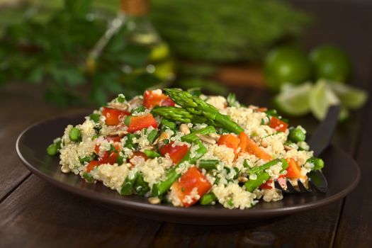 Vegetarian quinoa dish with green asparagus and red bell pepper, sprinkled with parsley and roasted sunflower seeds (Selective Focus, Focus on the asparagus heads on the dish)    