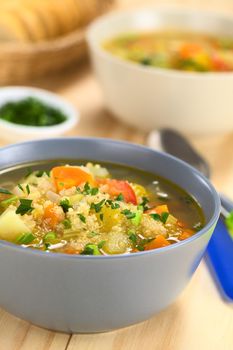 Vegetarian quinoa soup with carrot, potato, celery, pumpkin, leek and tomato, sprinkled with parsley and scallion (Selective Focus, Focus one third into the soup)