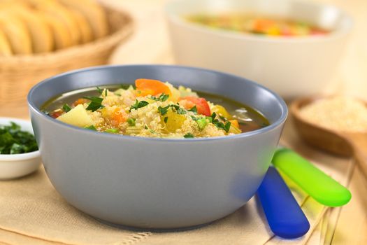 Vegetarian quinoa soup with carrot, potato, celery, pumpkin, leek and tomato, sprinkled with parsley and scallion (Selective Focus, Focus one third into the soup)