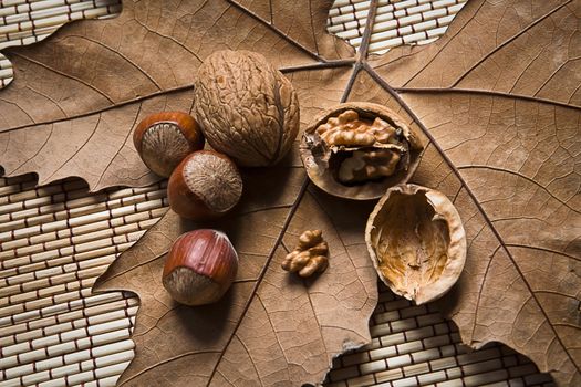 Walnuts and hazelnuts on a dry leaf