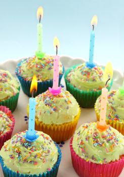 Birthday cup cakes all with their own candles burning.