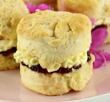 Fresh baked homemade scone with jam and cream on a plate.