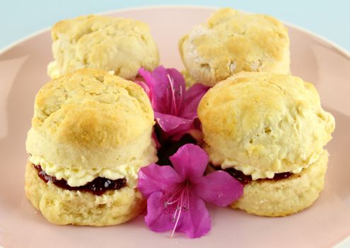 Fresh baked homemade scones with jam and cream on a plate.