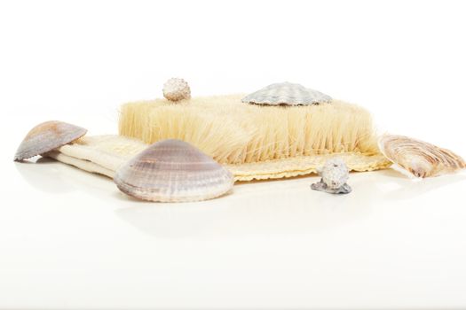 A beautiful wellness decoration with brush and seashells