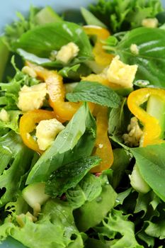 Delicious mixed leaf salad with blue cheese dressed with olive oil.