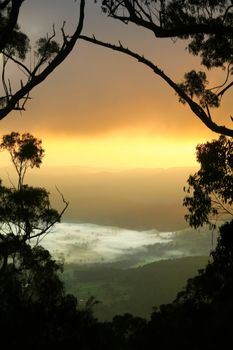 Valley shrouded in fog and mist seen through trees at sunrise.