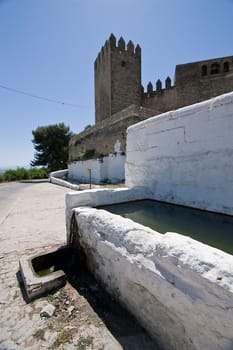 Drinking trough for farm animals and Tower of the Barbacana, Sabiote, Jaen province, Andalusia, Spain