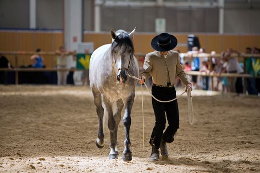 Equestrian test of morphology to pure Spanish horses, Spain