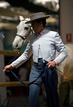 Equestrian test of morphology to pure Spanish horses, Spain