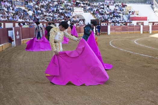 Bullfighter with the Cape before the Bullfight, Spain