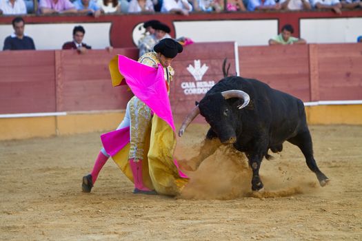 Curro Jimenez with the capote in Priego de Cordoba, province of Cordoba, Spain