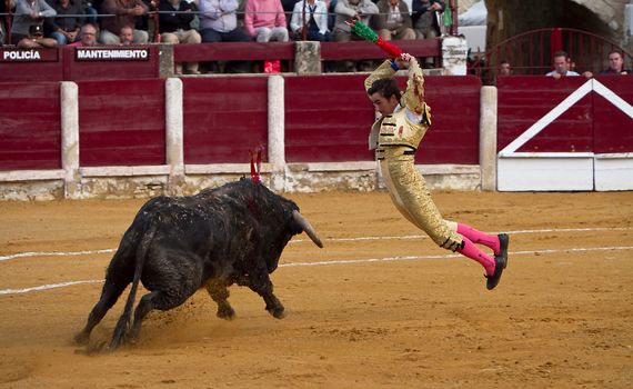 El Fandi putting flags during a bullfight, Ubeda, Jaen province, Andalusia, Spain