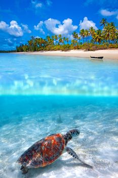 Green sea turtle and tropical beach above and below water