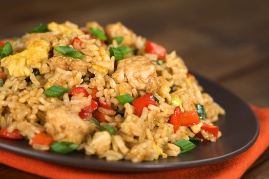 Homemade Chinese fried rice with vegetables, chicken and fried eggs served on a plate (Selective Focus, Focus one third into the dish)