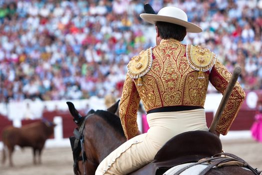 Picador bullfighter, lancer whose job it is to weaken bull's neck muscles, Spain