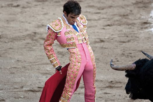 The bullfighter spanish Jose Tomas in front of the bull, Linares, Jaen province, Spain, 29 august 2011
