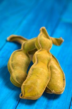 Peruvian fruit called Pacay (lat. Inga feuilleei), which is a podded fruit of which the sweet white pulp surrounding the seeds is being eaten (Selective Focus, Focus one third into the image)