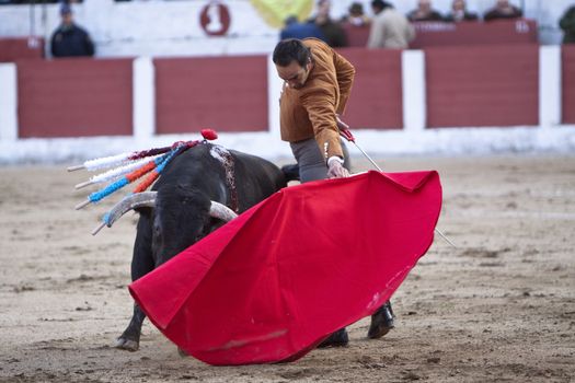 The spanish bullfighter Manuel Jesus "El Cid" bullfighting in a bullfight in Linares, province of Jaen, Spain, Spain 14 march 2010