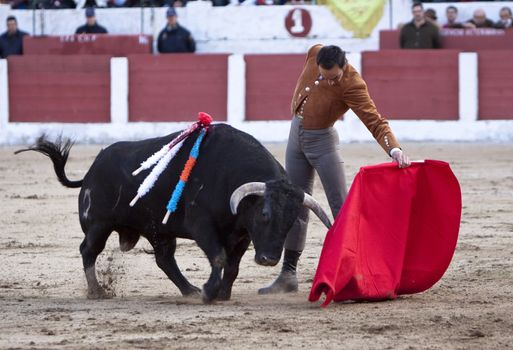 The spanish bullfighter Manuel Jesus "El Cid" bullfighting in a bullfight in Linares, province of Jaen, Spain, Spain 14 march 2010