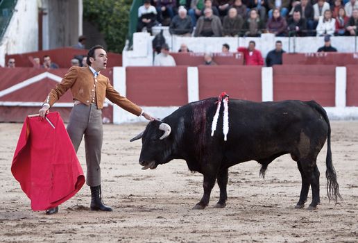 The spanish bullfighter Manuel Jesus "El Cid" bullfighting in a bullfight in Linares, province of Jaen, Spain, Spain 14 march 2010