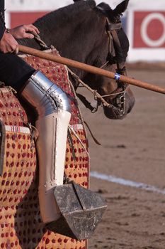 Picador bullfighter, lancer whose job it is to weaken bull's neck muscles, Spain
