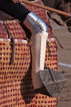 Picador bullfighter, lancer whose job it is to weaken bull's neck muscles, Spain