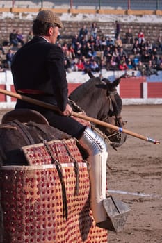 Picador bullfighter, lancer whose job it is to weaken bull's neck muscles, Spain
