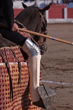 Picador bullfighter, lancer whose job it is to weaken bull's neck muscles, Spain