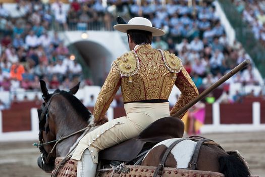 Picador bullfighter, lancer whose job it is to weaken bull's neck muscles, Spain