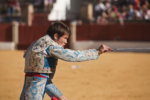 Young bullfighter stabbing a bull, Baeza, Jaen province, Spain, 27 june 2007