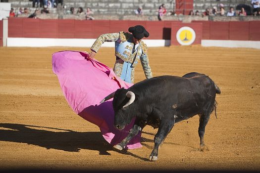 Bullfight in Baeza to the new values of the Andalusia bullfighting schools, Baeza, Jaen province, Andalusia, Spain, 27 june 2009
