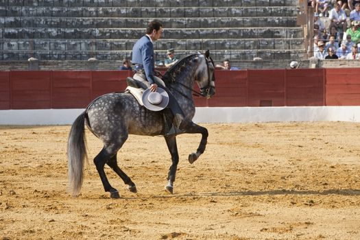 Andy Cartagena, bullfighter on horseback spanish, Baeza, Jaen province, Spain, 13 august 2010