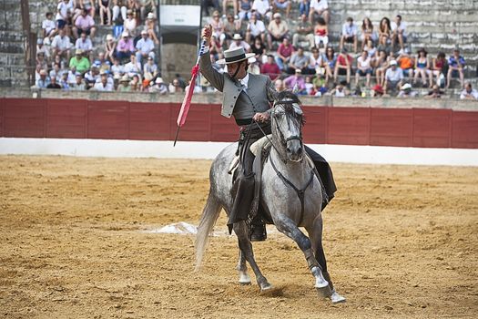 Antonio Domecq, bullfighter on horseback spanish, Baeza, Jaen province, Spain, 13 august 2010