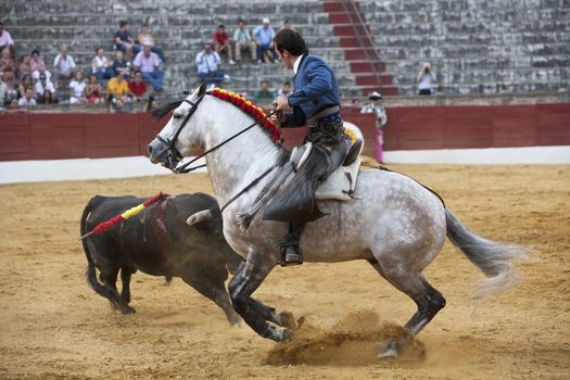 Andy Cartagena, bullfighter on horseback spanish, Baeza, Jaen province, Spain, 13 august 2010