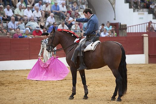 Andy Cartagena, bullfighter on horseback spanish, Jaen, Spain, 13 august 2010