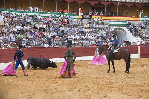 Andy Cartagena, bullfighter on horseback spanish, Baeza, Jaen province, Spain, 13 august 2010