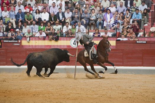 Alvaro Montes, bullfighter on horseback spanish witch garrocha (blunt lance used on ranches), Coso de la Alameda, Jaen, Spain, 13 october 2008