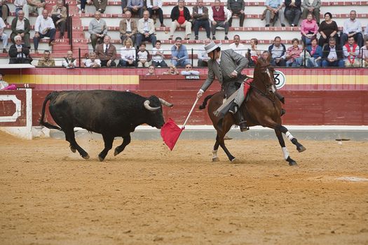Alvaro Montes, bullfighter on horseback spanish, Coso de la Alameda, Jaen, Spain, 13 october 2008