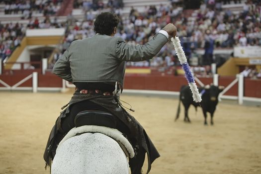 Alvaro Montes, bullfighter on horseback spanish, Coso de la Alameda, Jaen, Spain, 13 october 2008