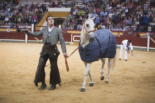 Alvaro Montes, bullfighter on horseback spanish turning to the bullring with its horse, Coso de la Alameda, Jaen, Spain, 13 october 2008