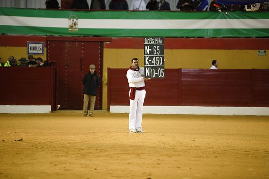 Employee of the Bullring has the poster with the name of the livestock, the weight and the number of the bull that goes out to the toriles, Atarfe, Granada province, Spain