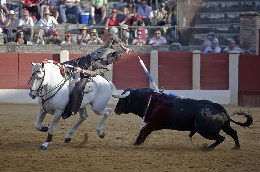 Alvaro Montes, bullfighter on horseback spanish, Baeza, Jaen, Spain, 14 august 2009