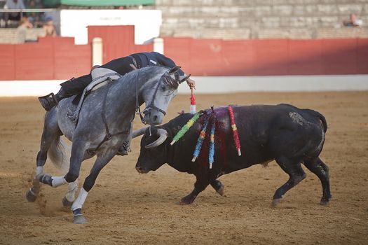 Leonardo Hernandez, bullfighter on horseback spanish, Baeza, Jaen province, Spain, 14 august 2009