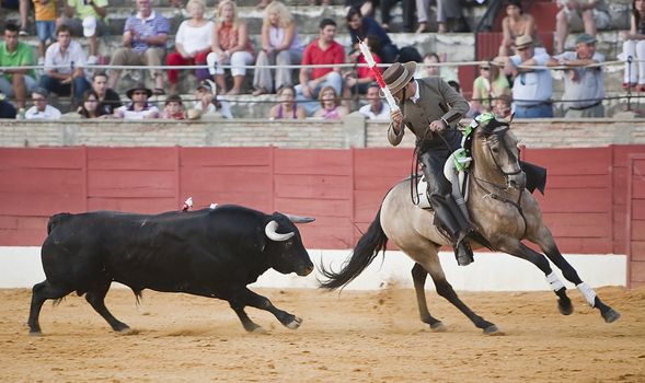 Alvaro Montes, bullfighter on horseback spanish, Baeza, Jaen, Spain, 14 august 2009
