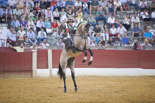 Alvaro Montes, bullfighter on horseback spanish, Baeza, Jaen, Spain, 14 august 2009