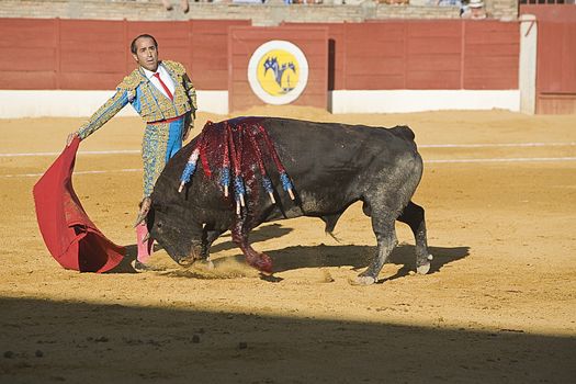 The Spanish Bullfighter Luis Francisco Espla bullfighting with the crutch in the Bullring of the Baeza, Jaen, Spain, 15 august 2009
