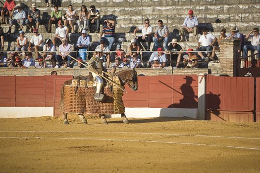 Picador bullfighter, lancer whose job it is to weaken bull's neck muscles, Spain
