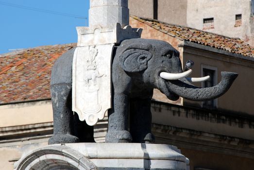 A detail of the statue of the Elephant in Catania.